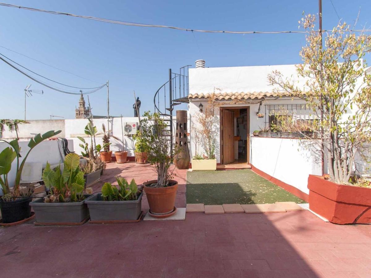 Apartment Federico Rubio Seville